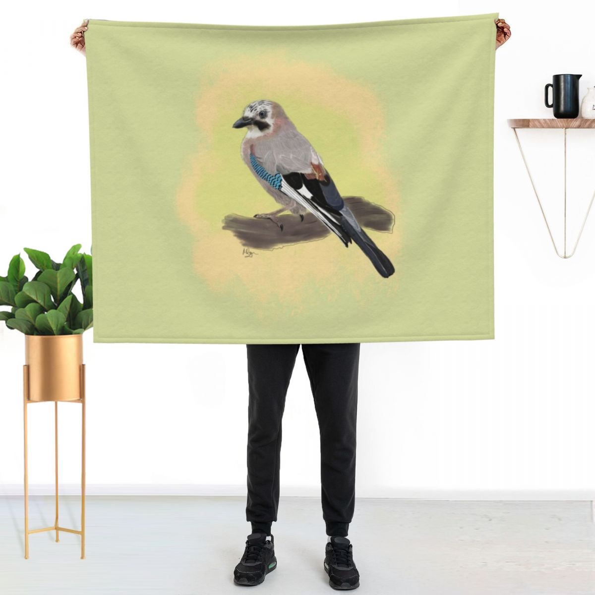 Manta Eurasian Jay para el hog - Tech Jaya reseña y precio